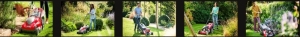 MOUNTFIELD Lawn Mowers