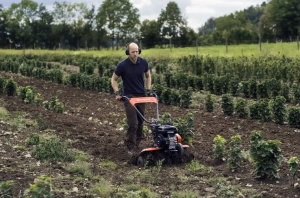 HUSQVARNA TILLERS