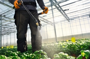 STIHL MISTBLOWERS AND SPRAYERS