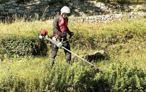  HONDA Brushcutters and Strimmers