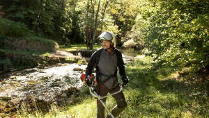  HONDA Brushcutters and Strimmers