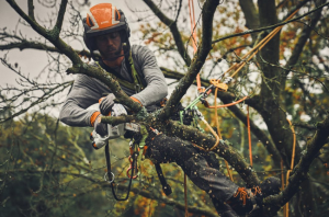 STIHL GARDEN PRUNERS