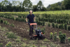 HUSQVARNA TILLERS