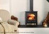 STOVAX Stockton 5 Multi-fuel Eco Stove