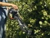 HUSQVARNA BATTERY Hedge trimmers