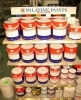 PALATINE paints, primers & thinners